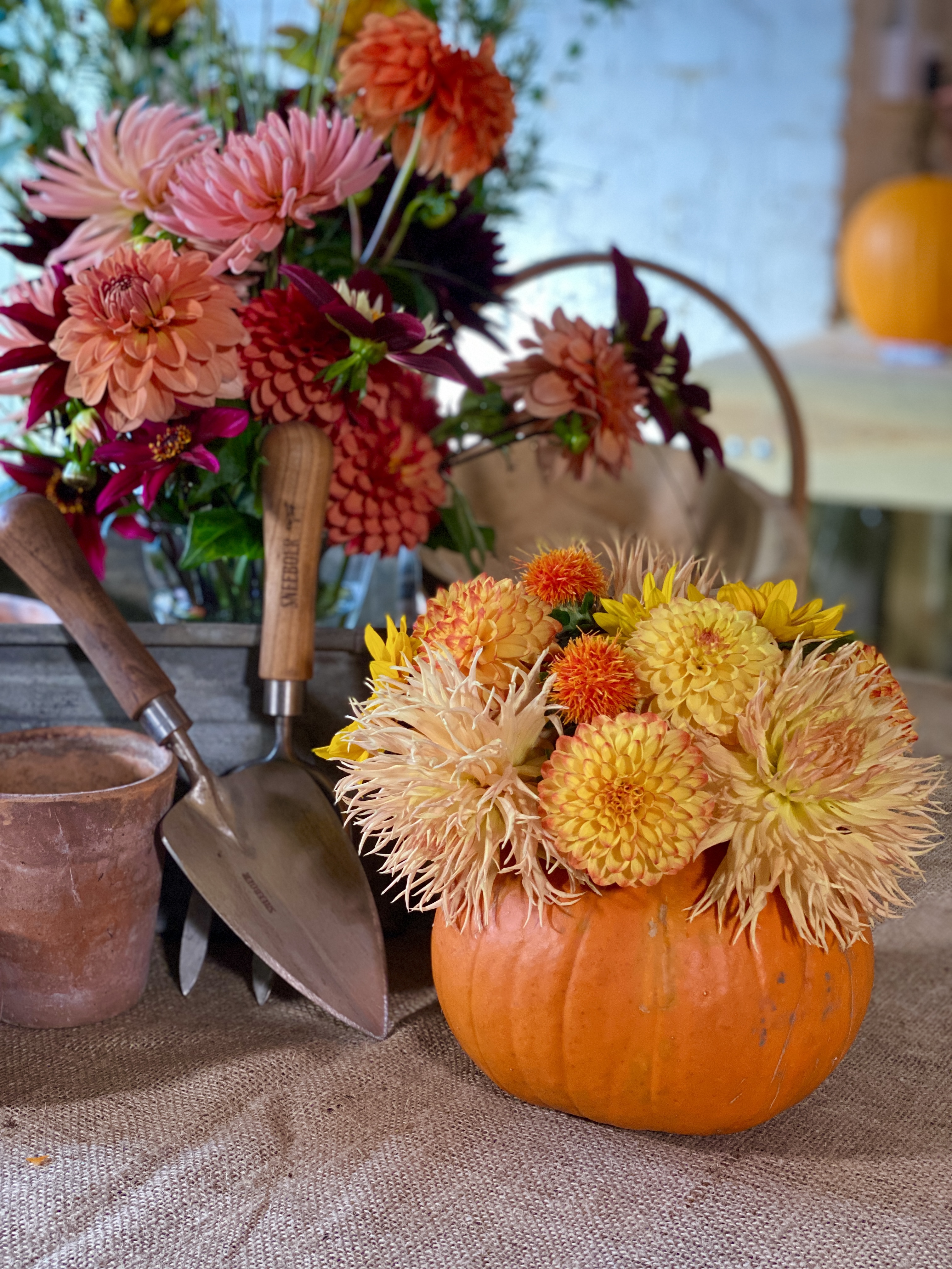 Creating An Autumn Pumpkin Arrangement